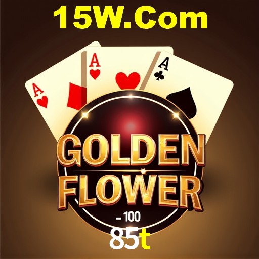 Casino VIP 85t