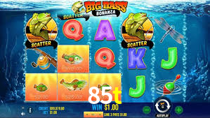 85t.com